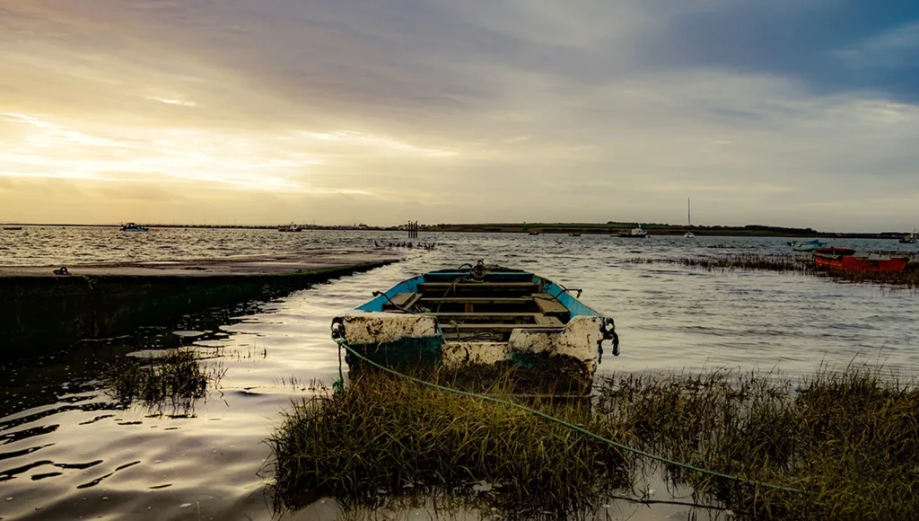 Two Tree Island Essex