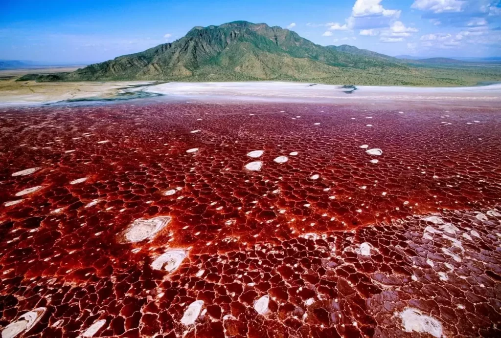 Lake Natron, Tanzania