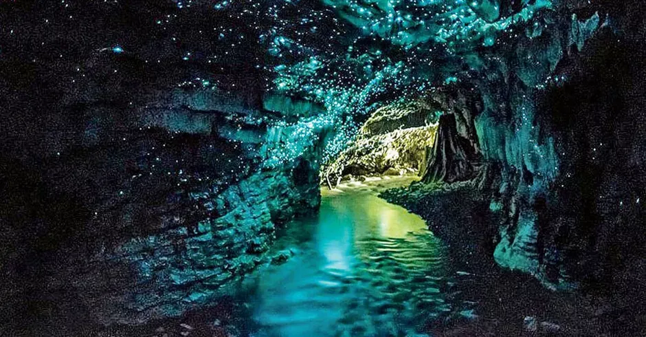 The Glowworm Caves, New Zealand