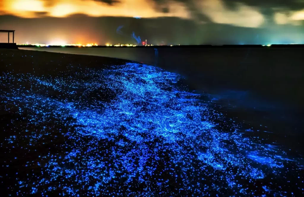 The Sea of Stars, Maldives