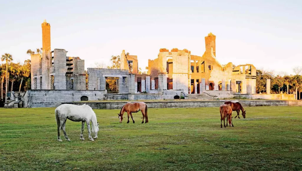 Cumberland Island