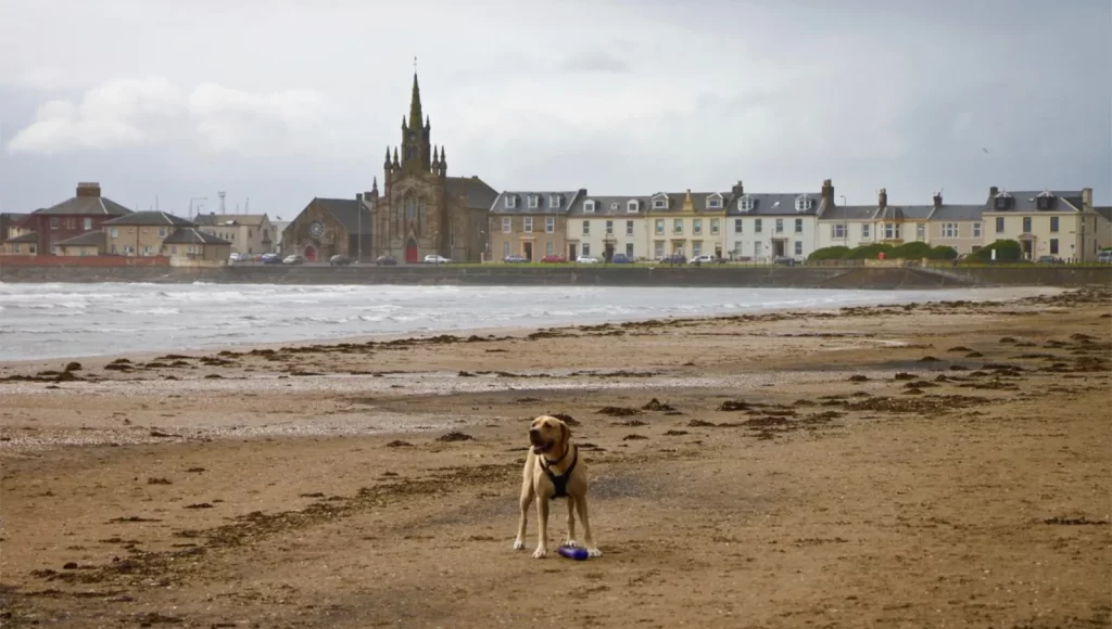 Dog Friendly Saltcoats Beach