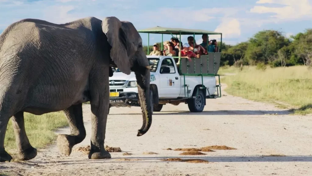 Namibia - Etosha National Park