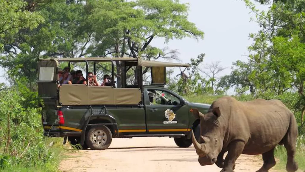 South Africa - Kruger National Park