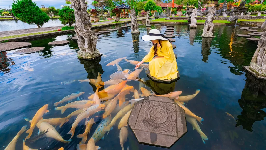 Feed the Fish
