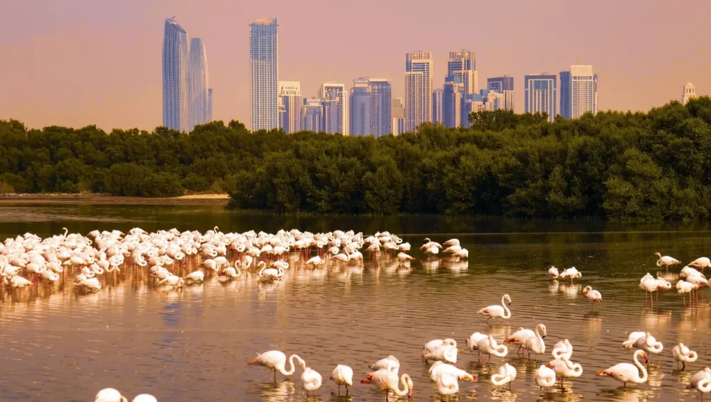 Ras Al Khor Wildlife Sanctuary