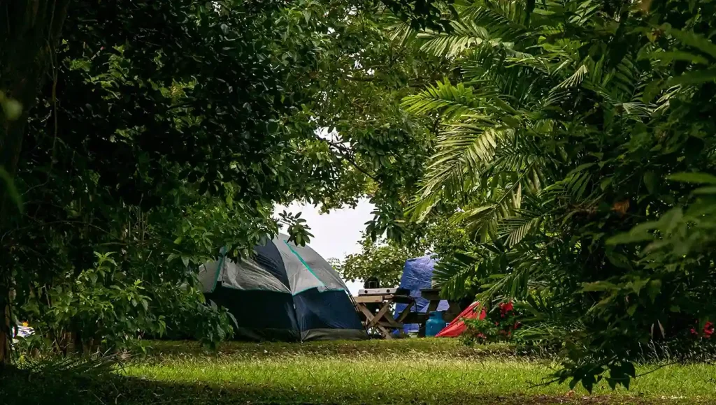 Peg Farm and Nature Reserve