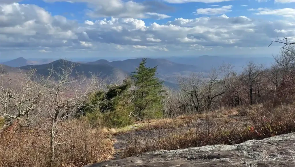 Tesnatee Gap Trail to Cow Rock Mountain