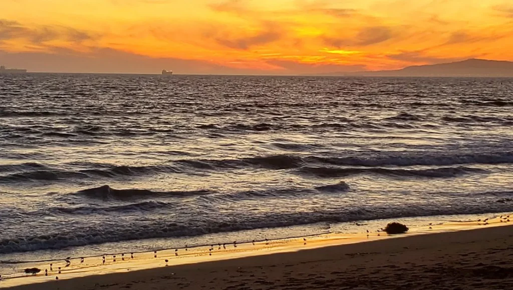 Bolsa Chica State Beach