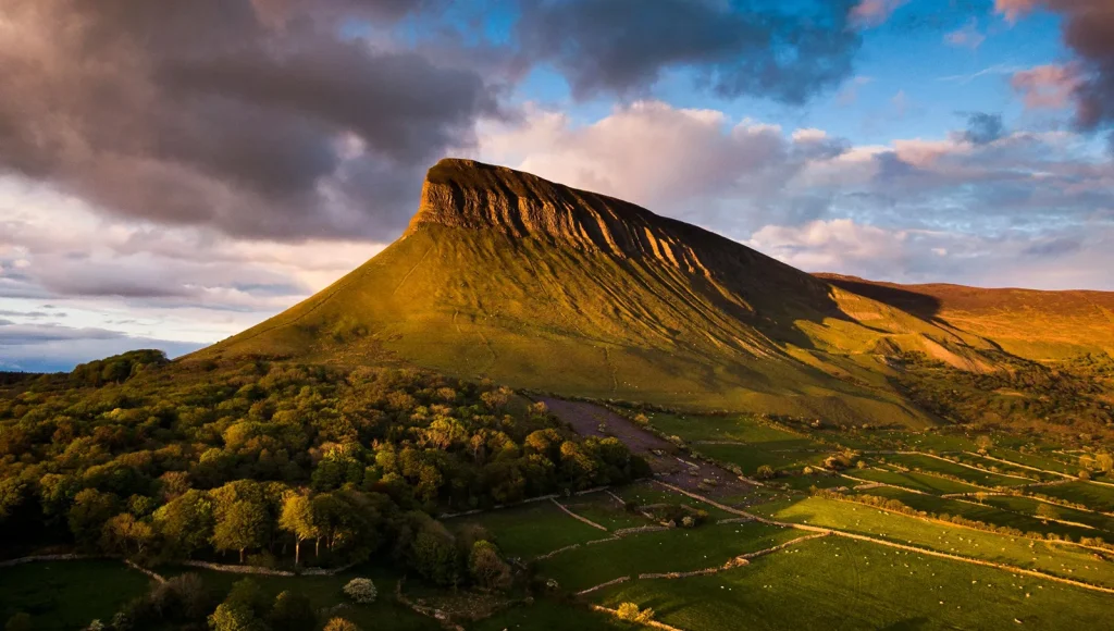Benbulben Forest Walk
