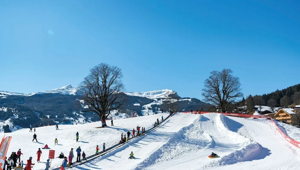 Bodmi Playground and Beginner Area