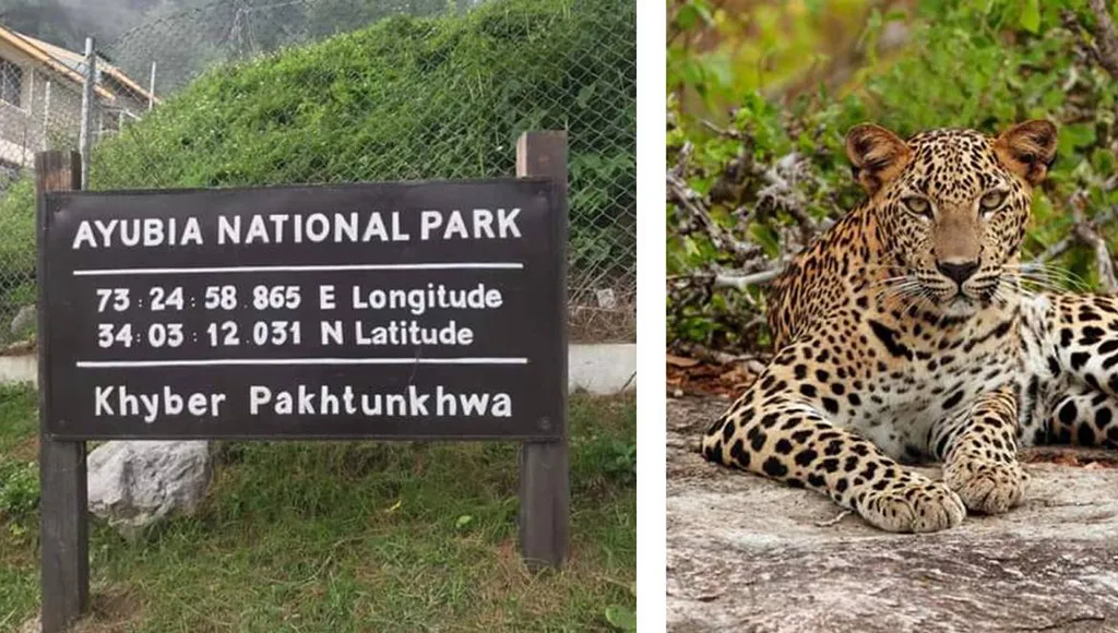 Ayubia National Park