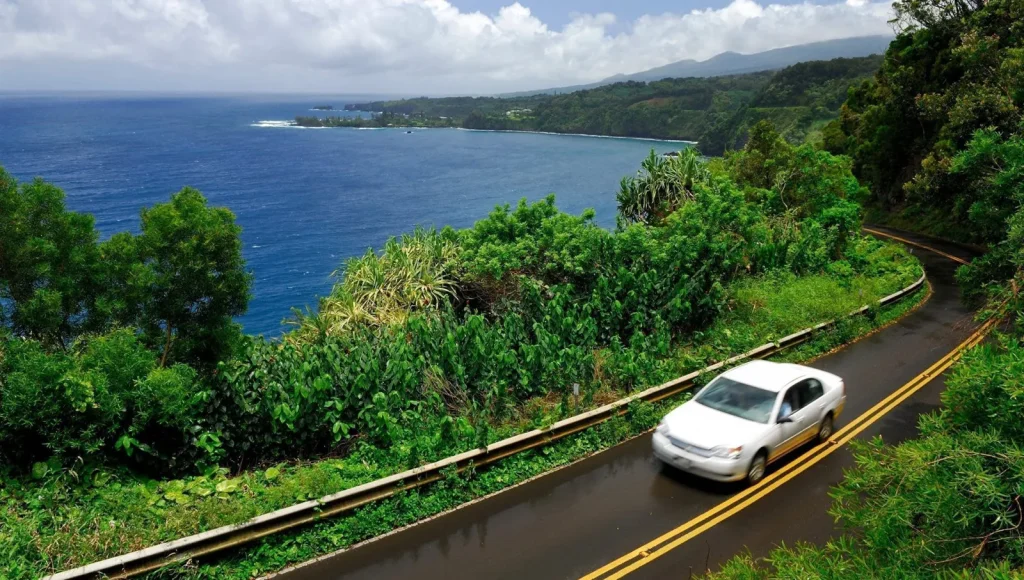 Drive the Road to Hana