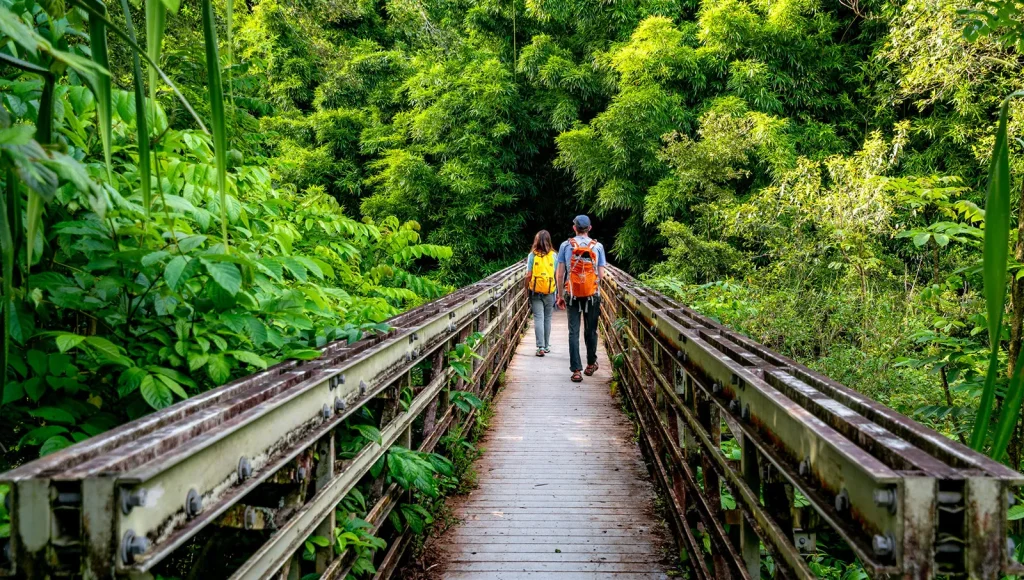 Hike the Pipiwai Trail