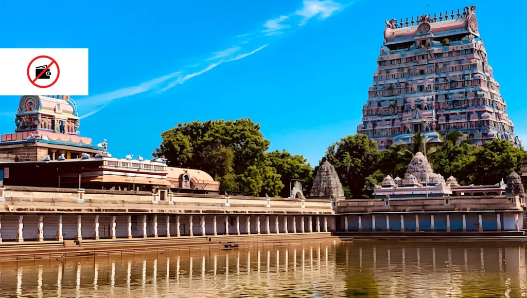 Items Made Of Leather 