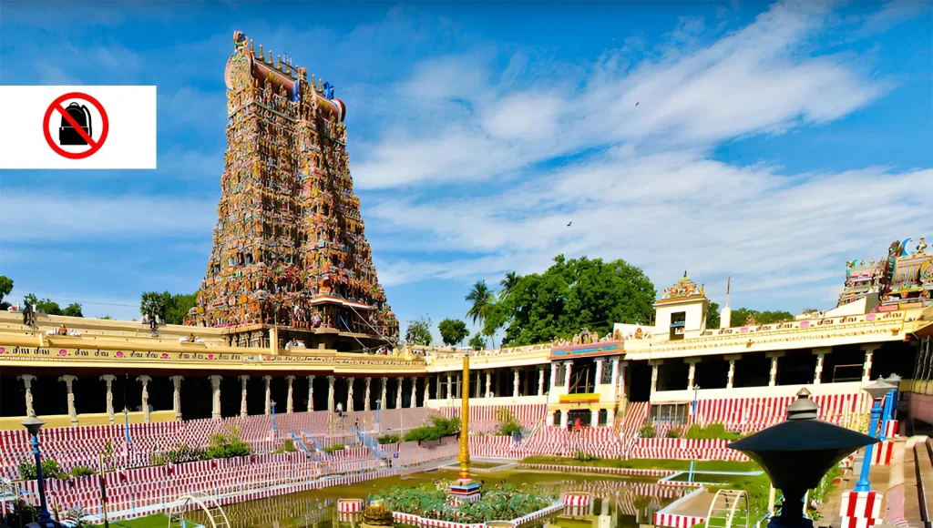 Large Bags and Backpacks