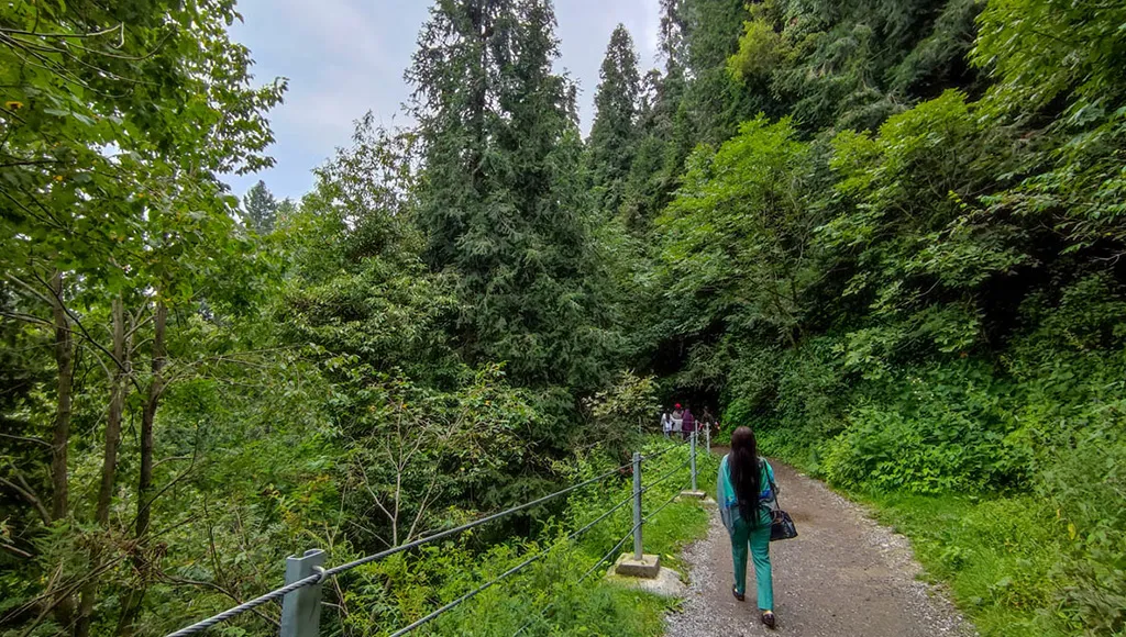 Pipeline Walking Track