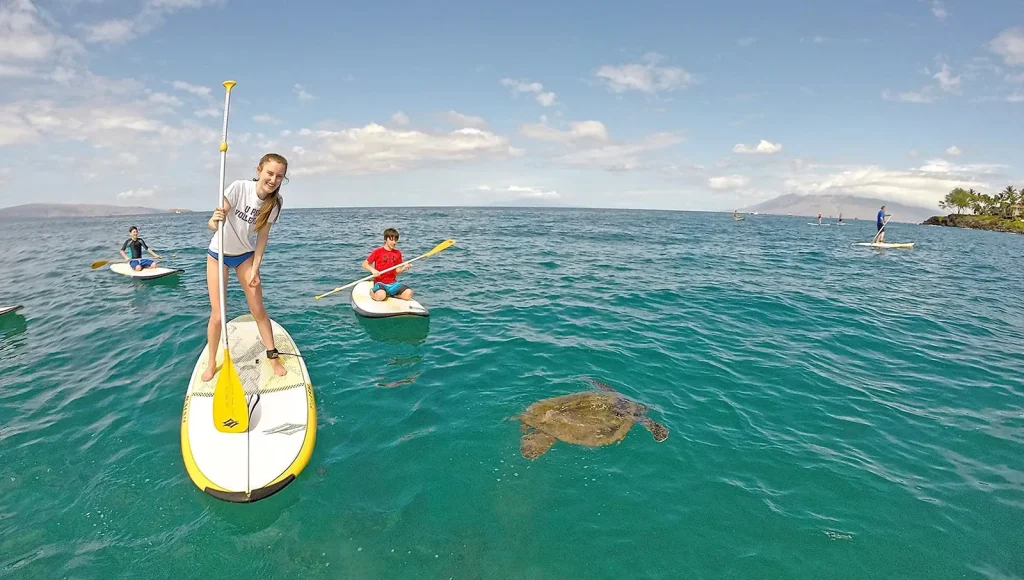 Stand-Up Paddleboarding Maui