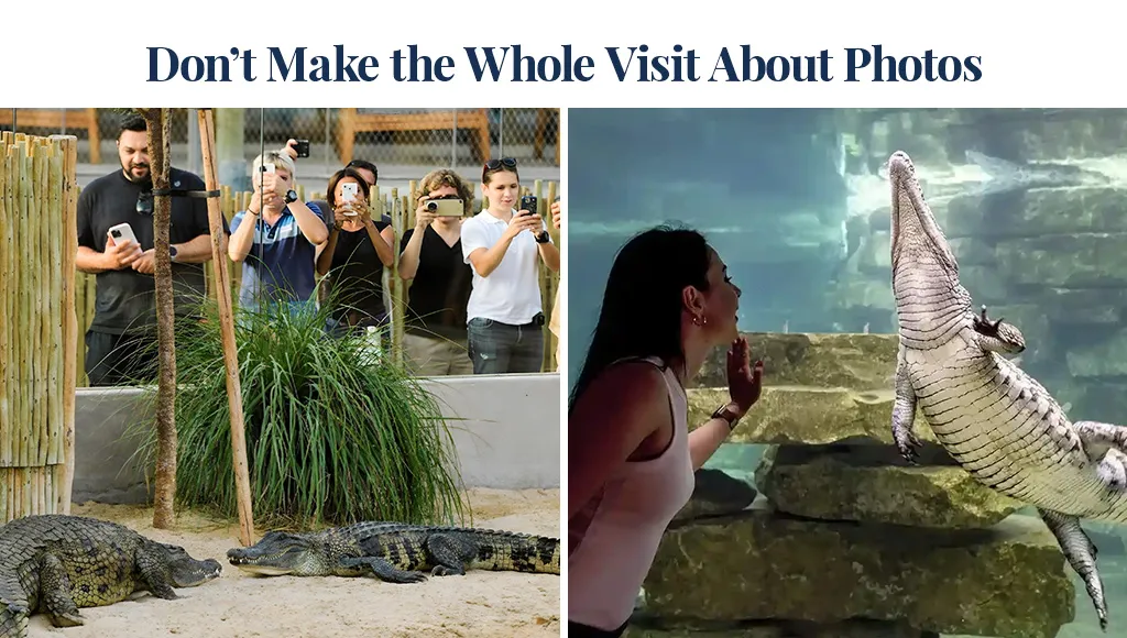 Don’t Make the Whole Visit About Photos