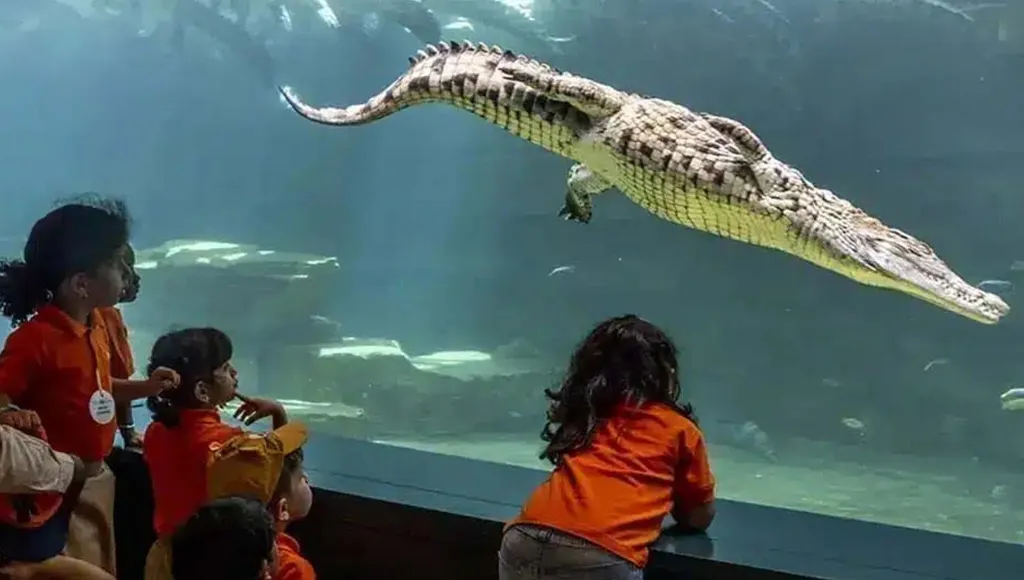 Don’t Treat It Like a Quick Stop