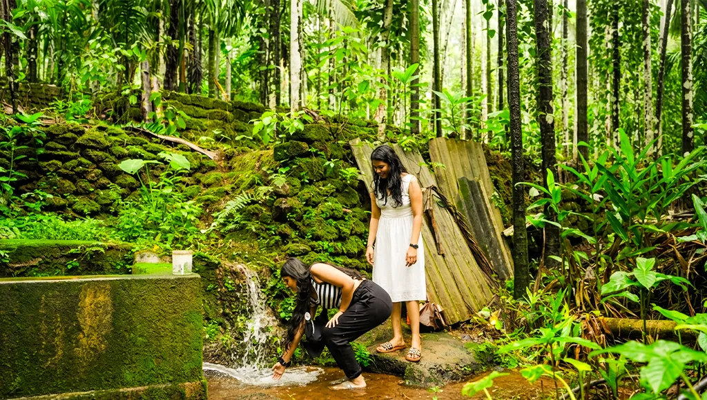 By Road and Trekking Through the Forest