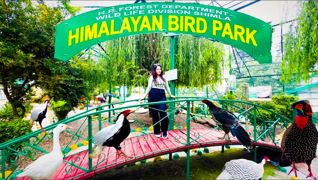 Himalayan Bird Park