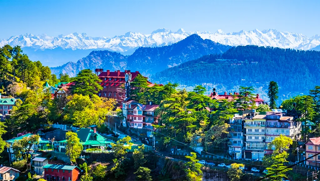 Shimla